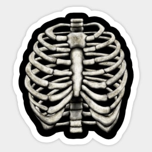 Skeleton Ribcage Sticker